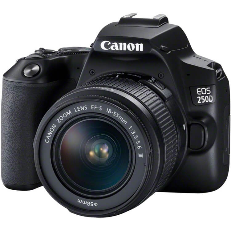دوربین عکاسی کانن Canon EOS 250d BODY 1 دوربین عکاسی کانن Canon EOS 250d BODY