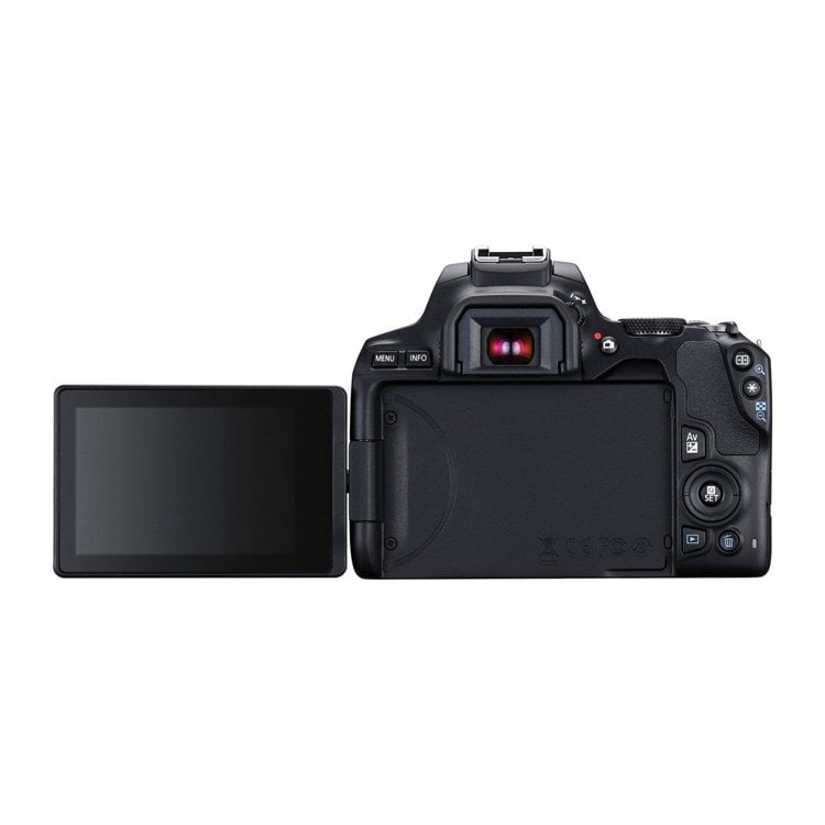250d-canon-c