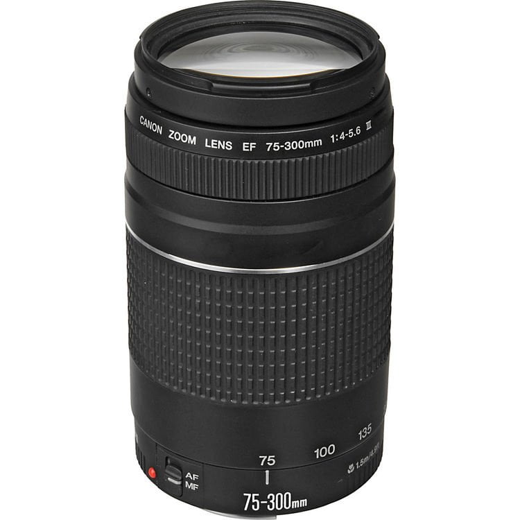 لنز کانن مدل Canon EF 75-300mm f/4-5.6 III لنز کانن مدل Canon EF 75-300mm f/4-5.6 III