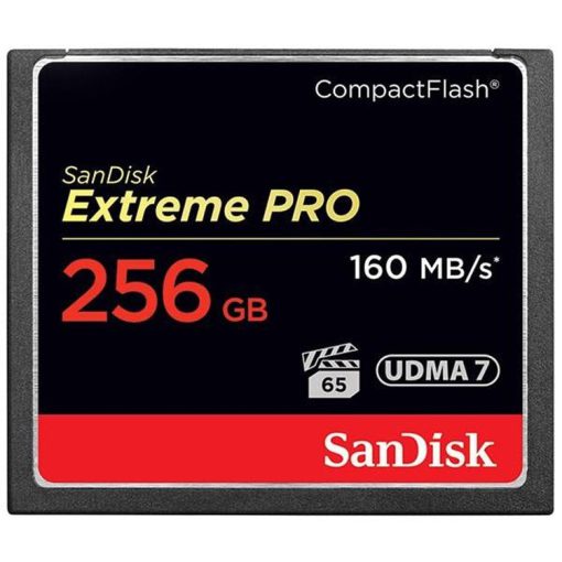 کارت حافظه سن دیسک CF 256GB