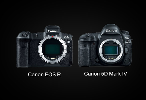 مقایسه دوربین EOS R و دوربین 5D