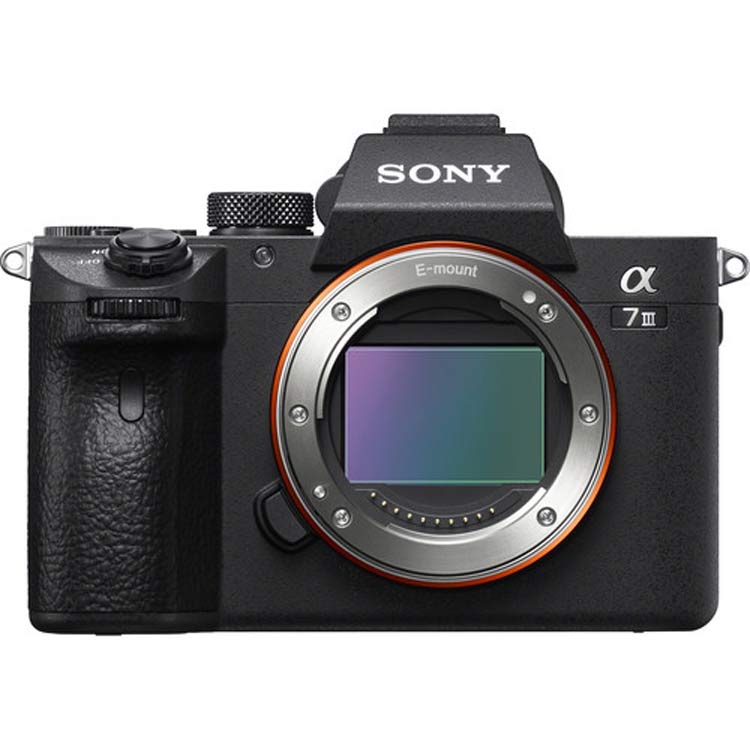 مقایسه دوربین Canon EOS R و دوربین Sony a7 III